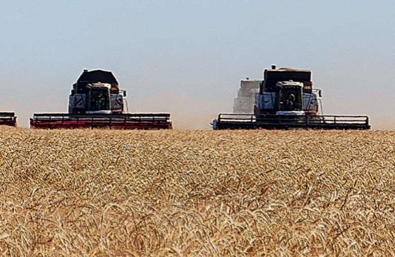 Эффект высокой базы