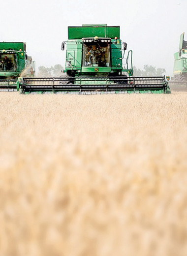 Урожай рекордов