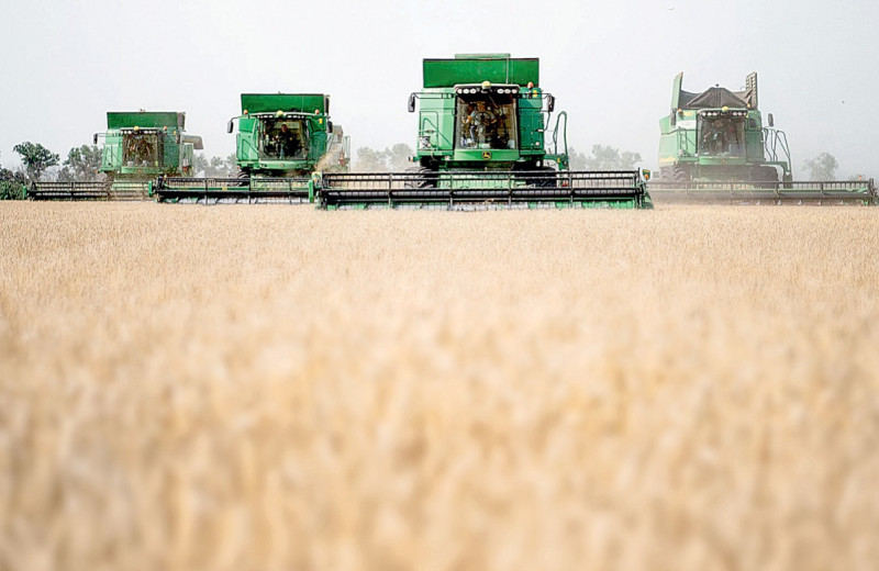 Урожай рекордов