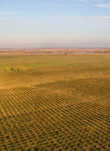 Вложения со столетним горизонтом
