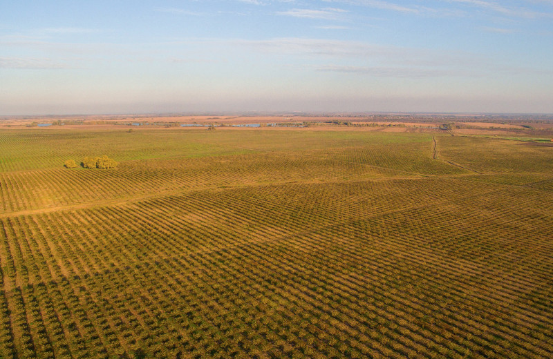 Вложения со столетним горизонтом