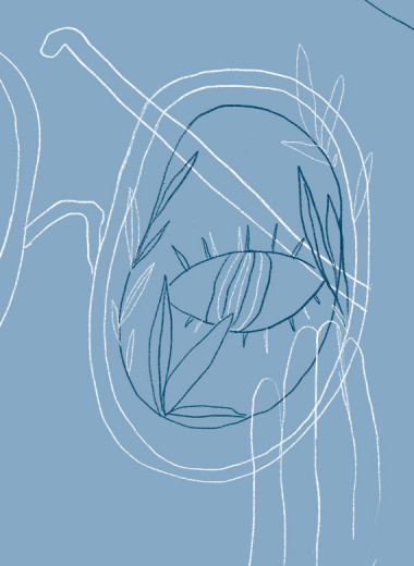 Шестое чувство