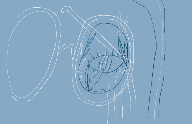 Шестое чувство