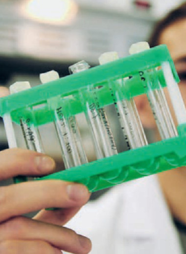 Знание в движении