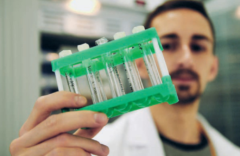 Знание в движении