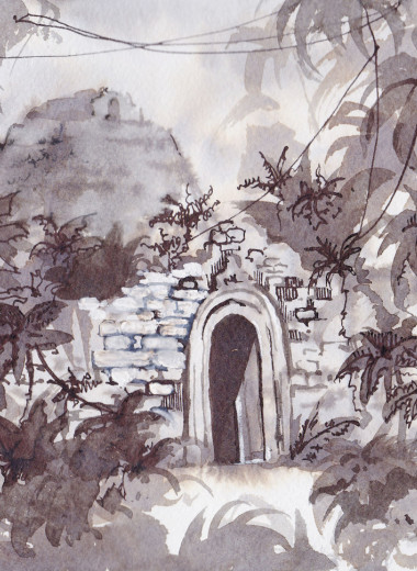 Сокровища тропического леса