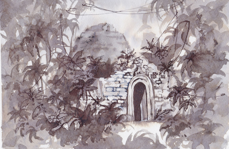 Сокровища тропического леса