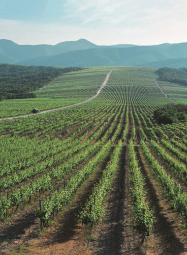 Прямо под боком