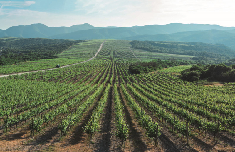 Прямо под боком