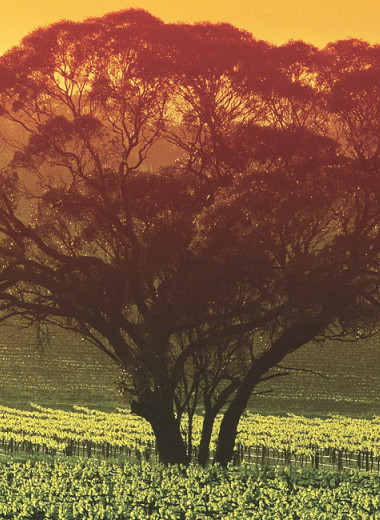 На обратной стороне Земли