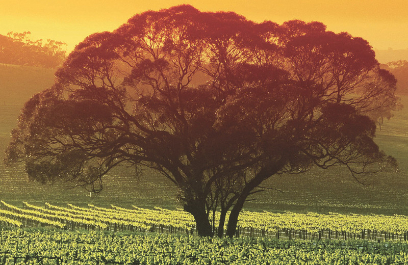 На обратной стороне Земли