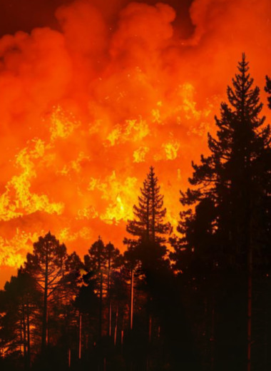 Как водная преграда останавливает лесной пожар
