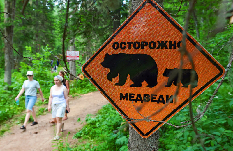 Медвежье «регуляторство»