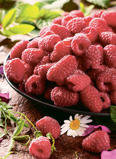 Топ-9 летних ягод