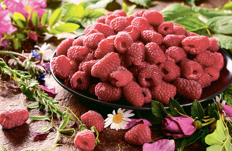 Топ-9 летних ягод