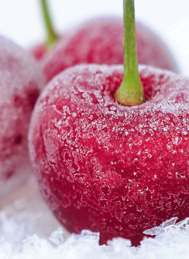 «Вишневая зима»