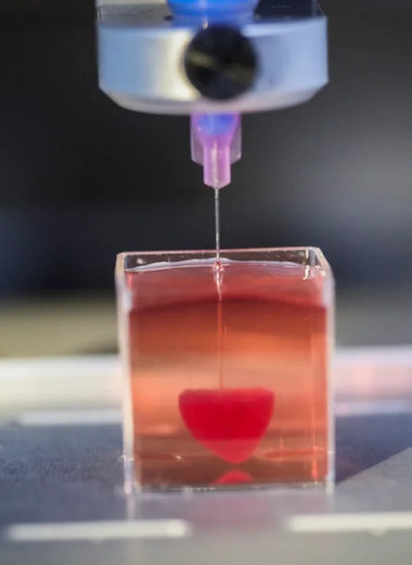 Биологическая 3D-печать в России