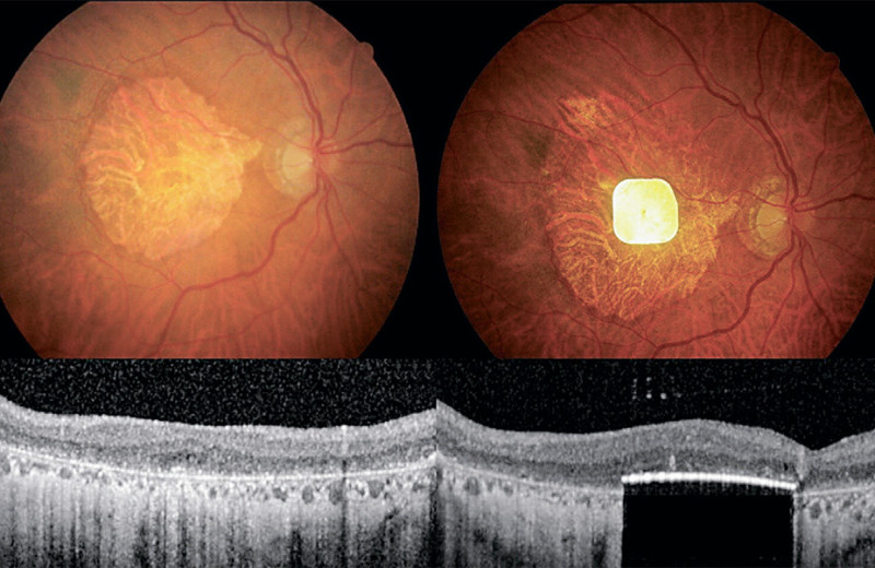 Восемь значимых событий 2025 года в биологии и медицине