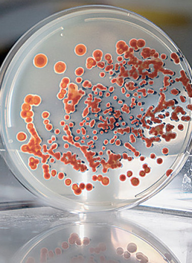 Вести из лабораторий и институтов