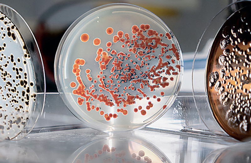 Вести из лабораторий и институтов