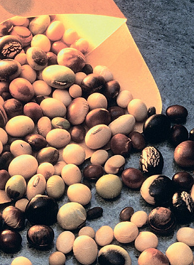 Нам придёт на помощь соя