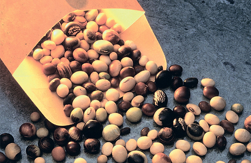 Нам придёт на помощь соя