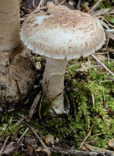 Заповедные новости