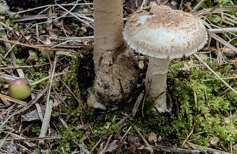 Заповедные новости