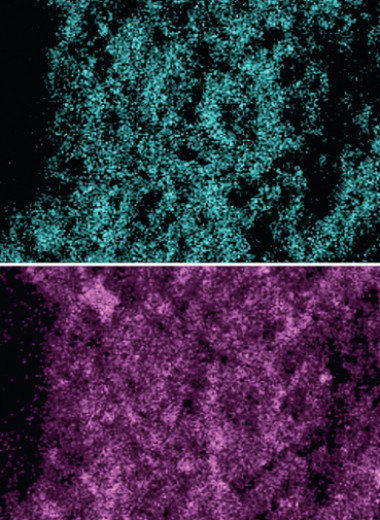 Шлак и зола вместо цемента