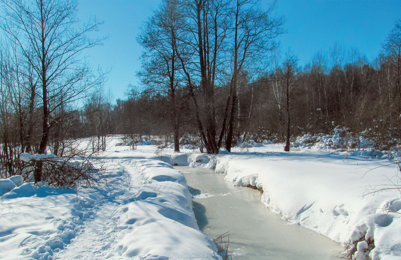 Ботанические прогулки зимой