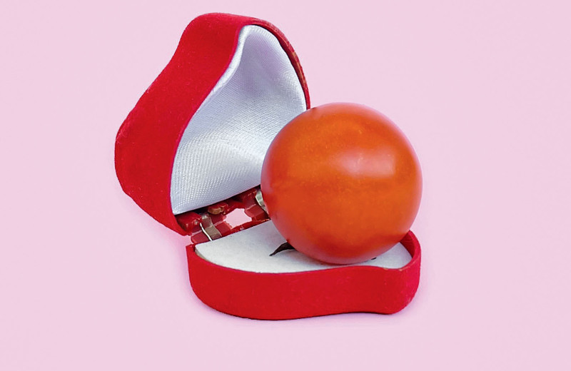 Хлеб и вина