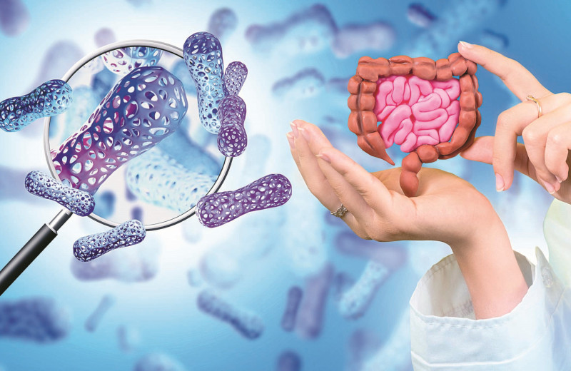 На страже иммунитета