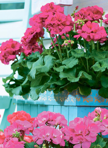 Да будет цвет!