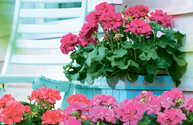 Да будет цвет!