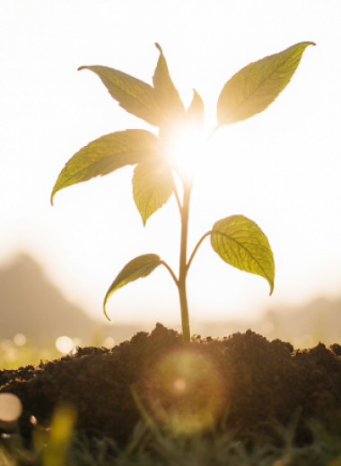 Российская экономика в цифрах и фактах