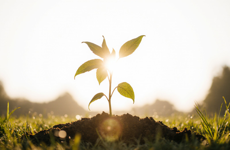 Российская экономика в цифрах и фактах