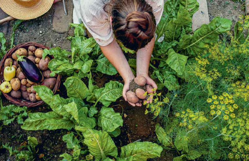 Картошинг и иные способы заработать на миллениалах