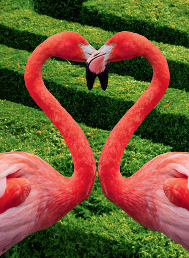 Формула любви