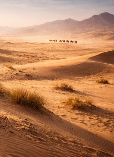 Два шахида Ближнего Востока