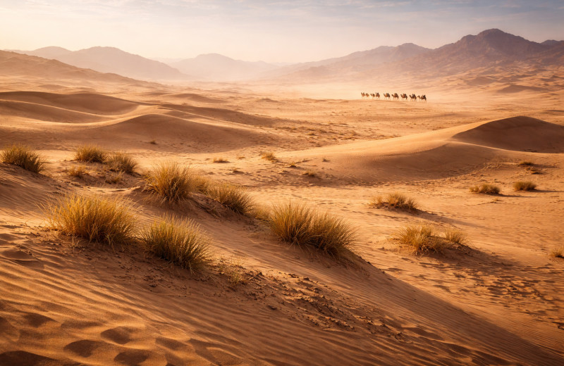 Два шахида Ближнего Востока