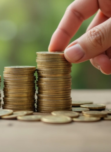 Налоговая схематизация