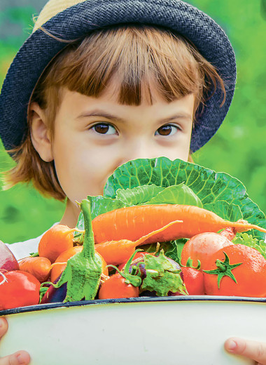 Вот оно какое, наше лето