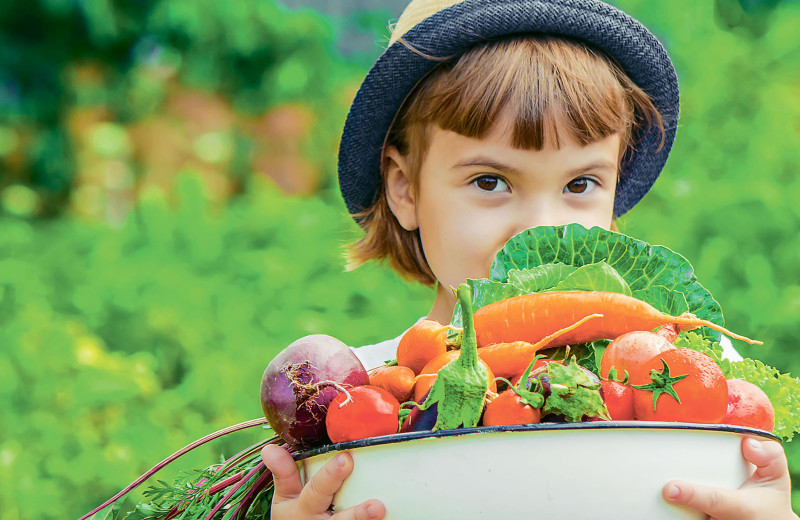 Вот оно какое, наше лето