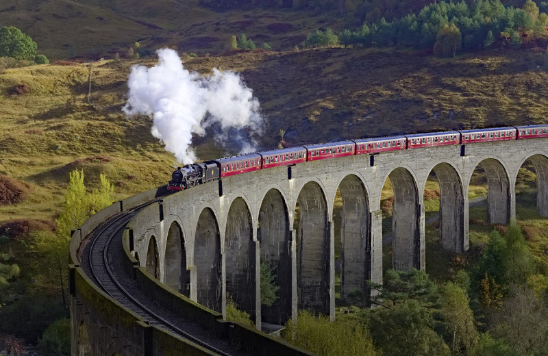 Pin on Коллаж Nature, Aesthetic, Structures