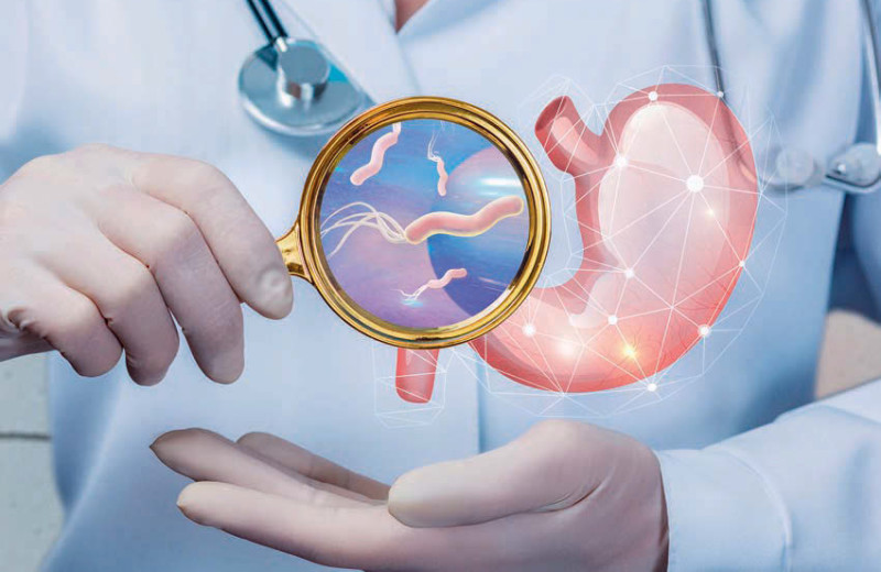 Хеликобактер: стратегия защиты