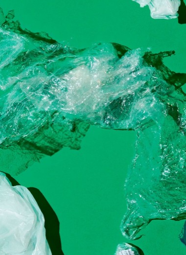 Прощание с пакетом