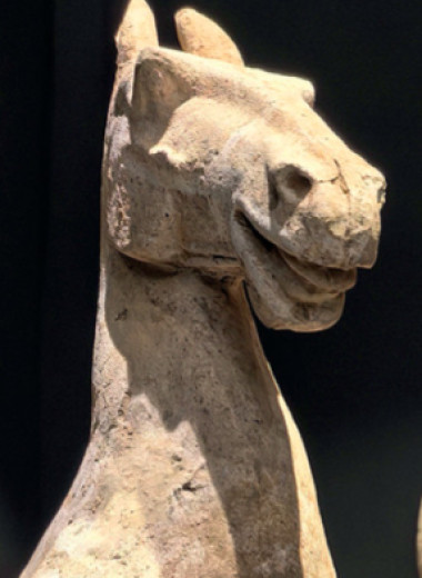 Секрет собирателя