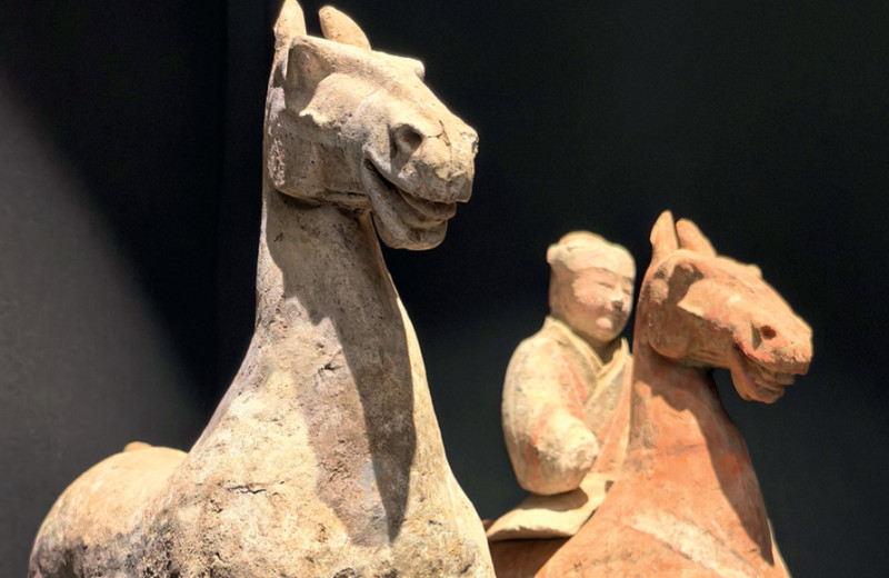 Секрет собирателя