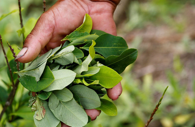 PRESIDENT TRUMP VISITS THE WESTERN WALL 2017 MAY 22,DONALD TRUMP EN ARABIA SAUDI
