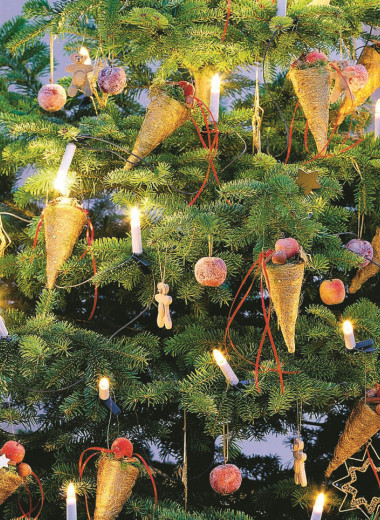 Лесная гостья